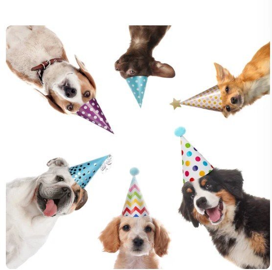 ANNIVERSAIRE LUDIVINE